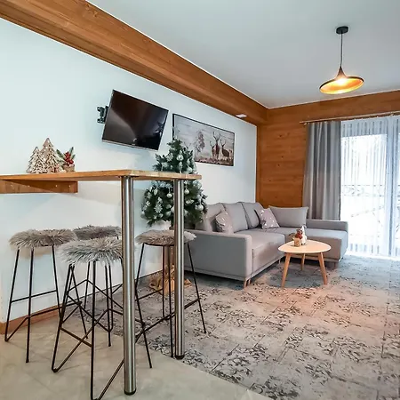 Pod Tatrzanskim Niebem * Zakopane