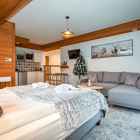 Pod Tatrzanskim Niebem Apartamento