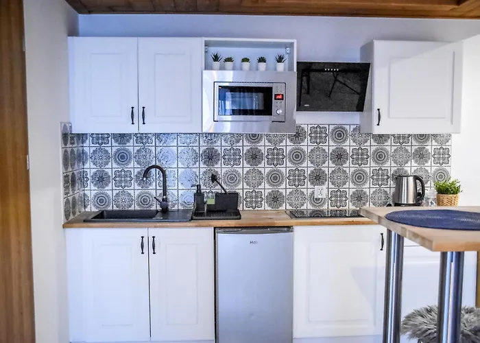 Pod Tatrzanskim Niebem 公寓 扎科帕内