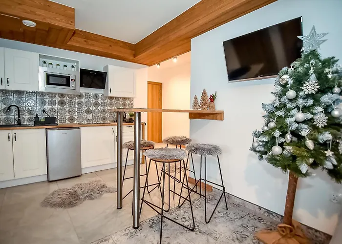 公寓 Pod Tatrzanskim Niebem 扎科帕内