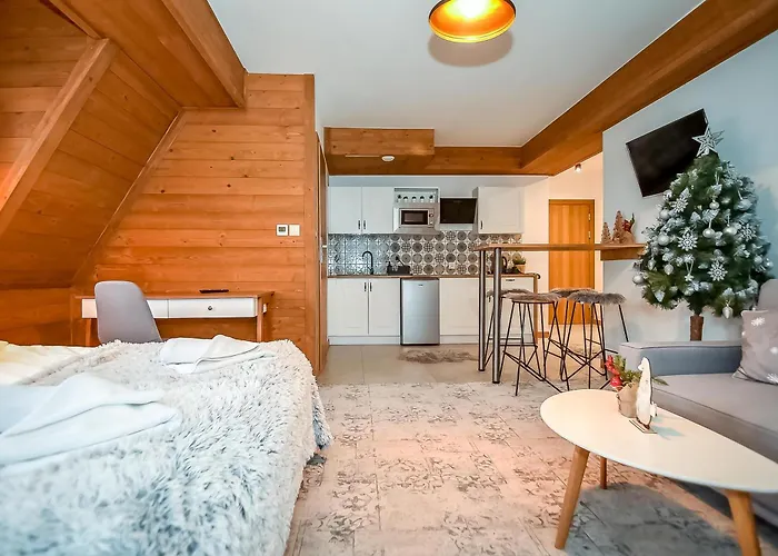 公寓 Pod Tatrzanskim Niebem 扎科帕内